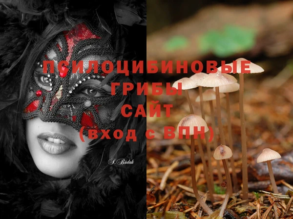 ALPHA PVP Михайлов