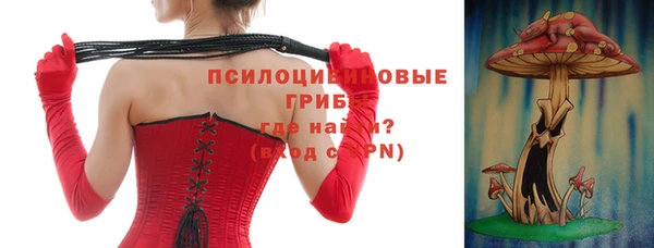 дмт Мегион
