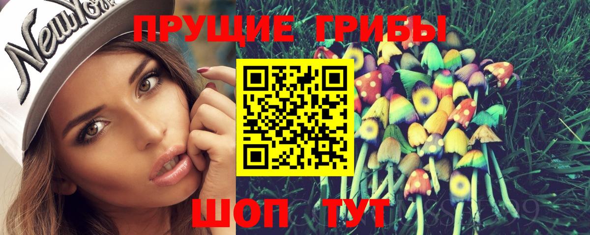 Псилоцибиновые грибы Psilocybe Дедовск